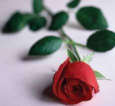  LOVE YOU